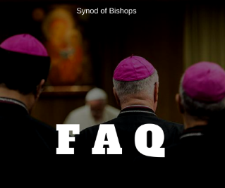 Frequently Asked Questions On The Synod of Bishops